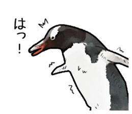 Watercolor penguin sticker sticker #7504854