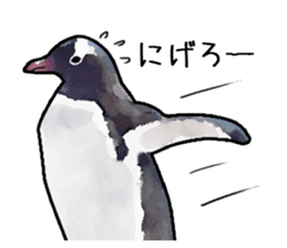 Watercolor penguin sticker sticker #7504855
