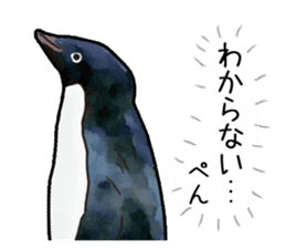 Watercolor penguin sticker sticker #7504861