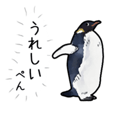 Watercolor penguin sticker sticker #7504862