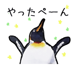Watercolor penguin sticker sticker #7504863