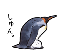 Watercolor penguin sticker sticker #7504865