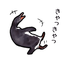 Watercolor penguin sticker sticker #7504867