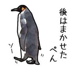 Watercolor penguin sticker sticker #7504868