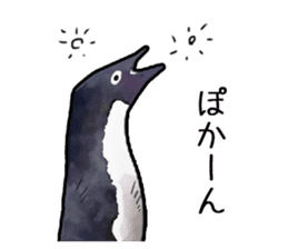 Watercolor penguin sticker sticker #7504869
