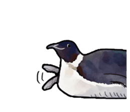 Watercolor penguin sticker sticker #7504872