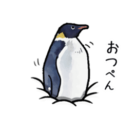 Watercolor penguin sticker sticker #7504874