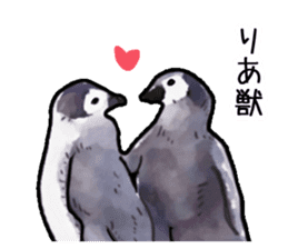 Watercolor penguin sticker sticker #7504875