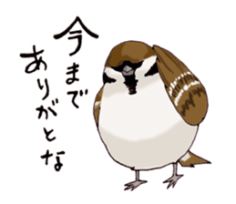 Birds live at their own pace .(event) sticker #7506284