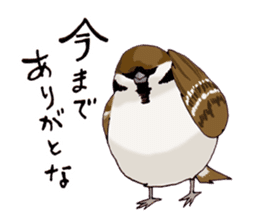 Birds live at their own pace .(event) sticker #7506284