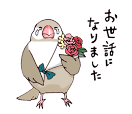Birds live at their own pace .(event) sticker #7506285