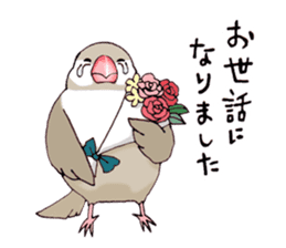 Birds live at their own pace .(event) sticker #7506285