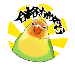 Birds live at their own pace .(event) sticker #7506286