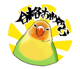 Birds live at their own pace .(event) sticker #7506286