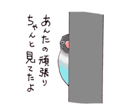 Birds live at their own pace .(event) sticker #7506287