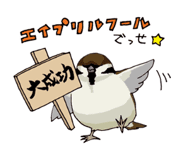 Birds live at their own pace .(event) sticker #7506288