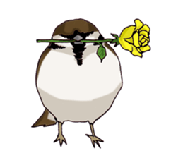 Birds live at their own pace .(event) sticker #7506293