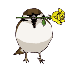 Birds live at their own pace .(event) sticker #7506293