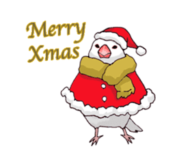 Birds live at their own pace .(event) sticker #7506297