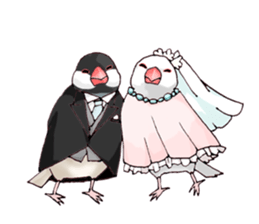 Birds live at their own pace .(event) sticker #7506301