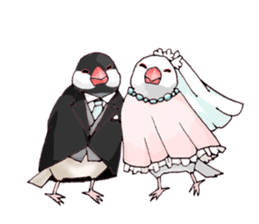 Birds live at their own pace .(event) sticker #7506301