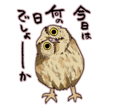 Birds live at their own pace .(event) sticker #7506311