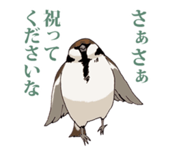 Birds live at their own pace .(event) sticker #7506315