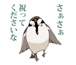 Birds live at their own pace .(event) sticker #7506315