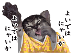 Vicious deputy official of a cat sticker #7507241