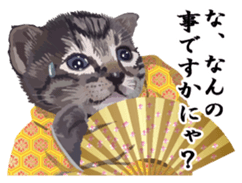 Vicious deputy official of a cat sticker #7507246