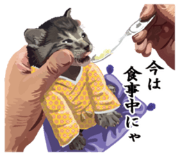 Vicious deputy official of a cat sticker #7507254