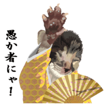 Vicious deputy official of a cat sticker #7507265