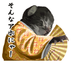 Vicious deputy official of a cat sticker #7507270