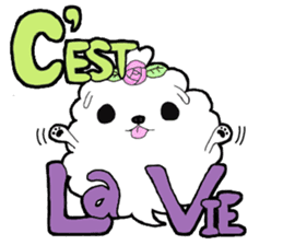 My little maltese dog Vivi sticker #7507404
