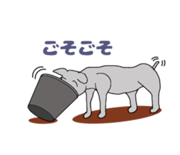 John and Azuki 2nd sticker #7508422