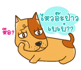 Kak Kung playboy dog sticker #7512328