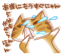 Jiro & Konatsu 2 sticker #7516078