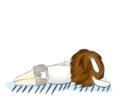 usagi and kame sticker #7517959