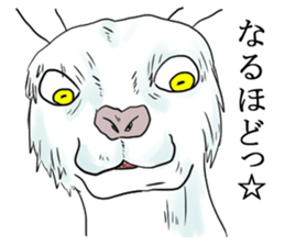 Crazy goat sticker #7518142