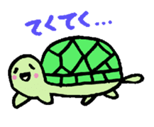 Cute turtles and seals sticker #7520831
