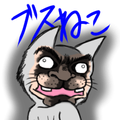 Ugly face of the cat