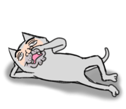 Ugly face of the cat sticker #7525989