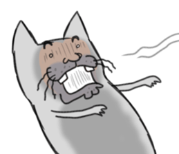 Ugly face of the cat sticker #7525994