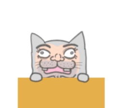 Ugly face of the cat sticker #7526019