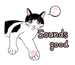 Cute Cat (English ver.) sticker #7526034