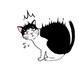 Cute Cat (English ver.) sticker #7526035