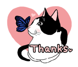 Cute Cat (English ver.) sticker #7526038
