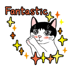 Cute Cat (English ver.) sticker #7526041