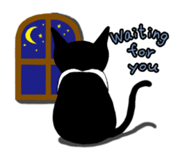 Cute Cat (English ver.) sticker #7526048