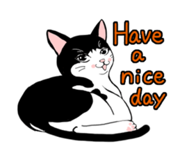 Cute Cat (English ver.) sticker #7526049